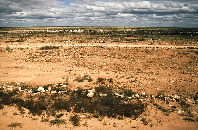 Nullarbor Plain Train