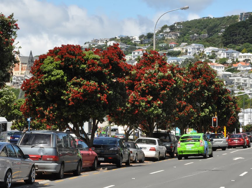 Nz Christmas