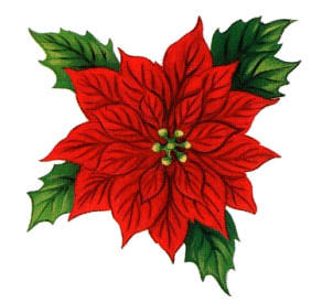 Nz Christmas Clip Art