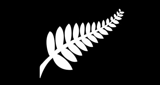 Nz Flag Designs