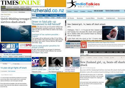 Nz Herald Shark Photo