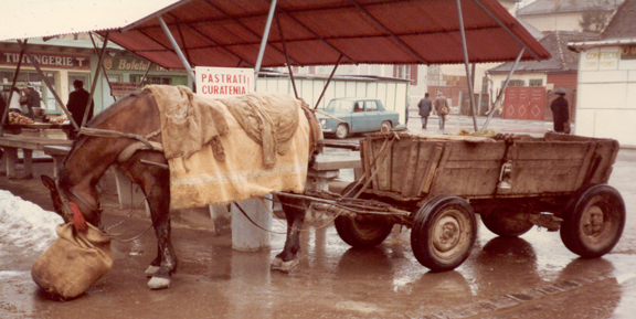 Old Means Of Transportation In India