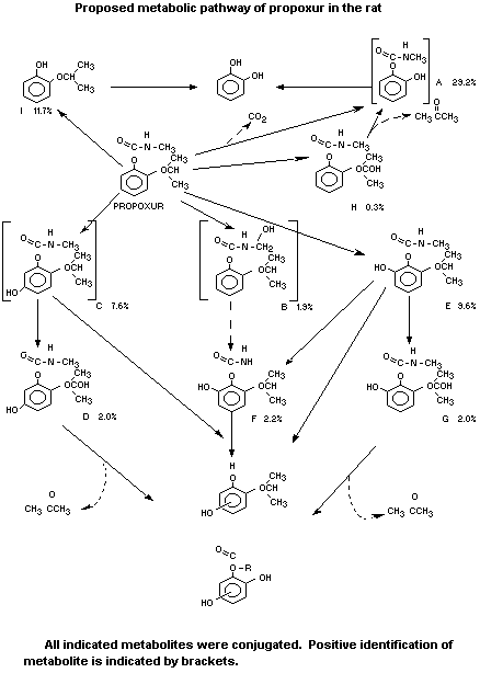 Onion Skin Weathering Diagram