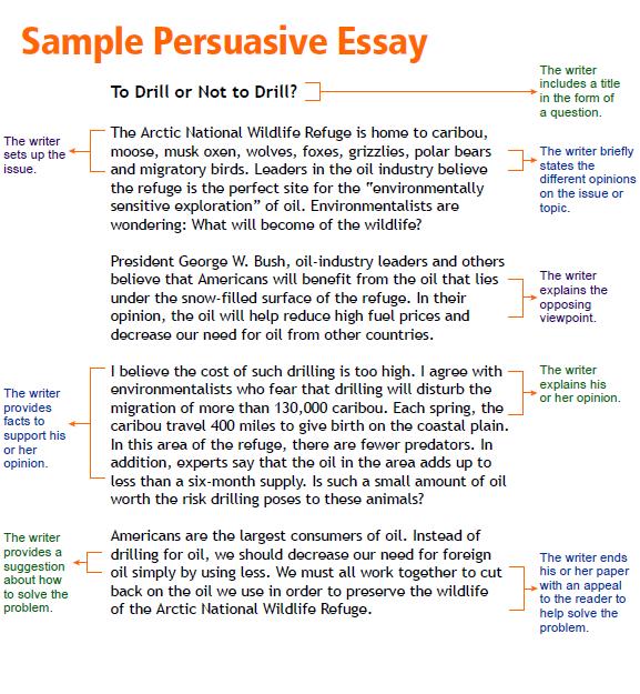 Opinion Essay Structure Examples