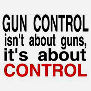 Opinionated Articles On Gun Control