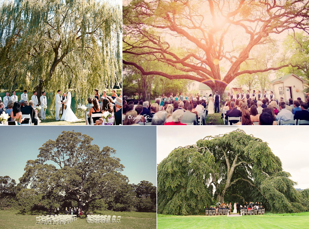 Outdoor Wedding Ceremony Ideas