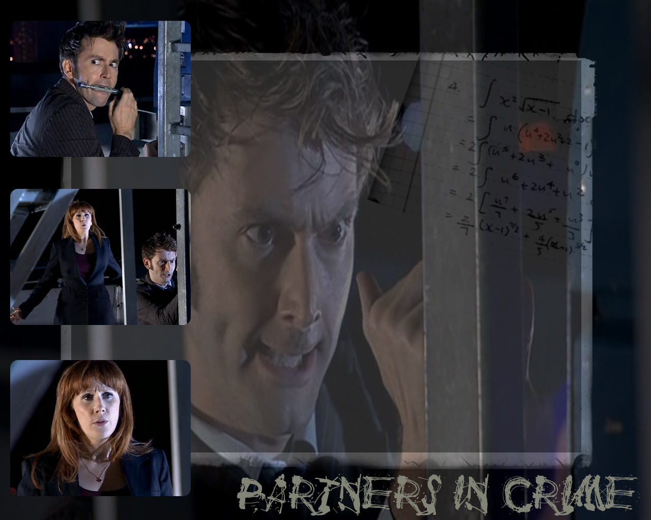 Partners In Crime Doctor Who Quotes