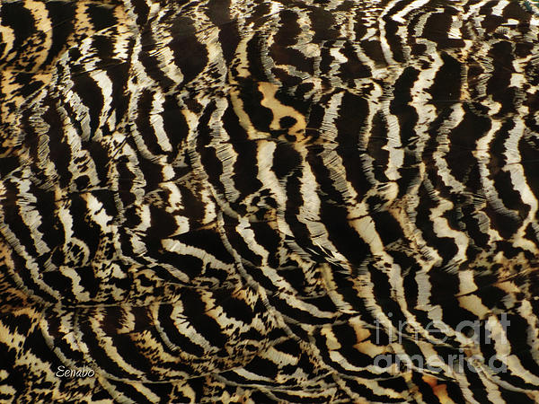 Patterns In Nature Art