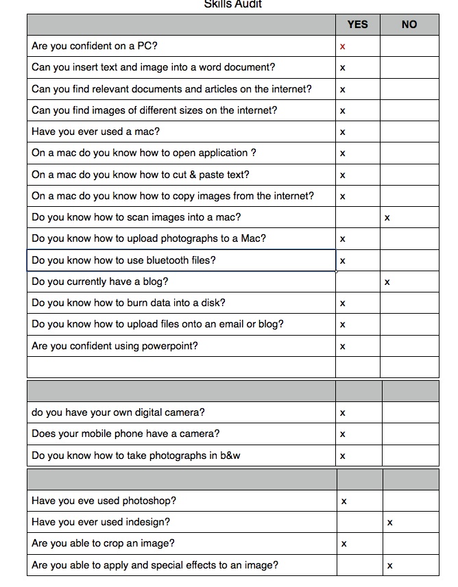 Personal Skills Audit Form