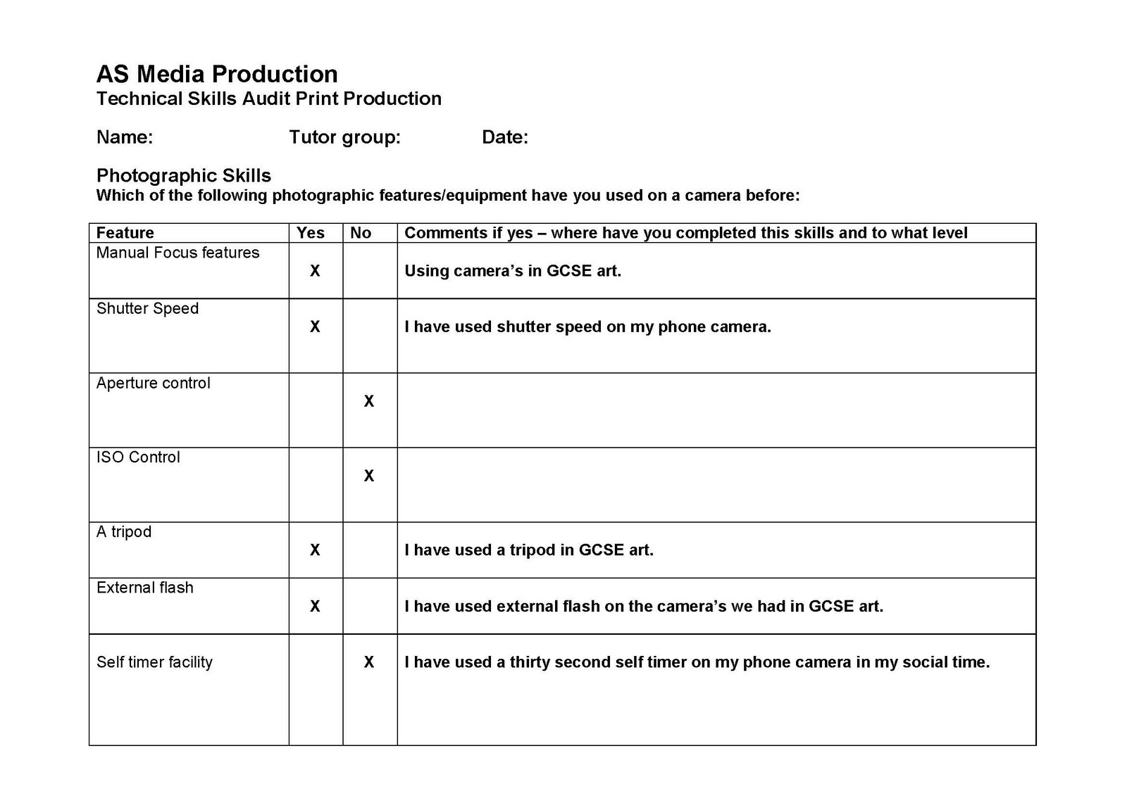 Personal Skills Audit Form