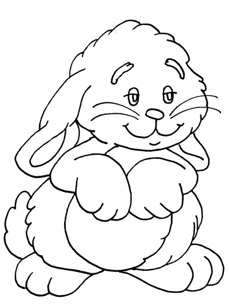 Pet Animals Pictures For Colouring