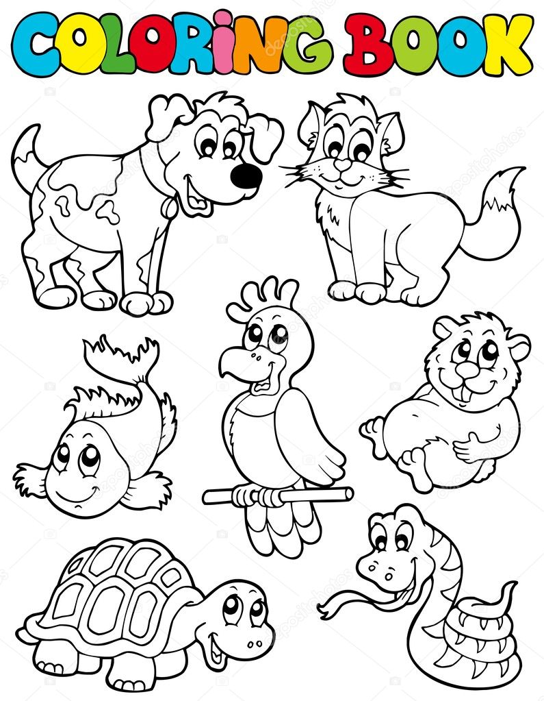 Pet Animals Pictures For Colouring