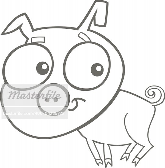 Pet Animals Pictures For Colouring