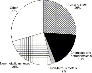 Petrochemical Feedstock