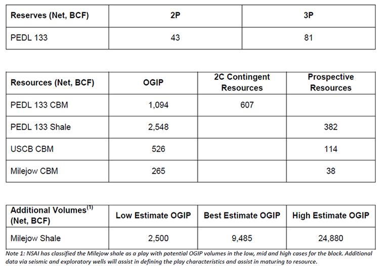 Petroleum Resources Management System