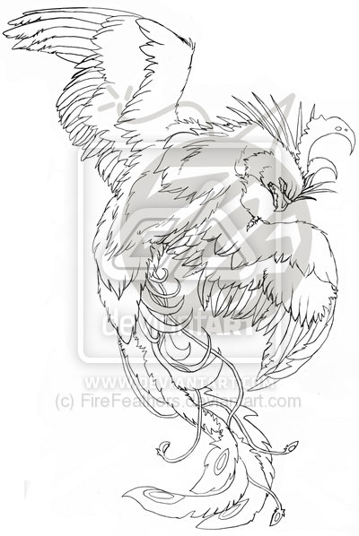 Phoenix Bird Tattoo Designs