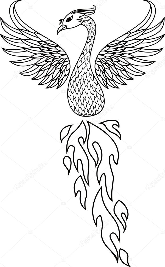 Phoenix Bird Tattoos Pictures