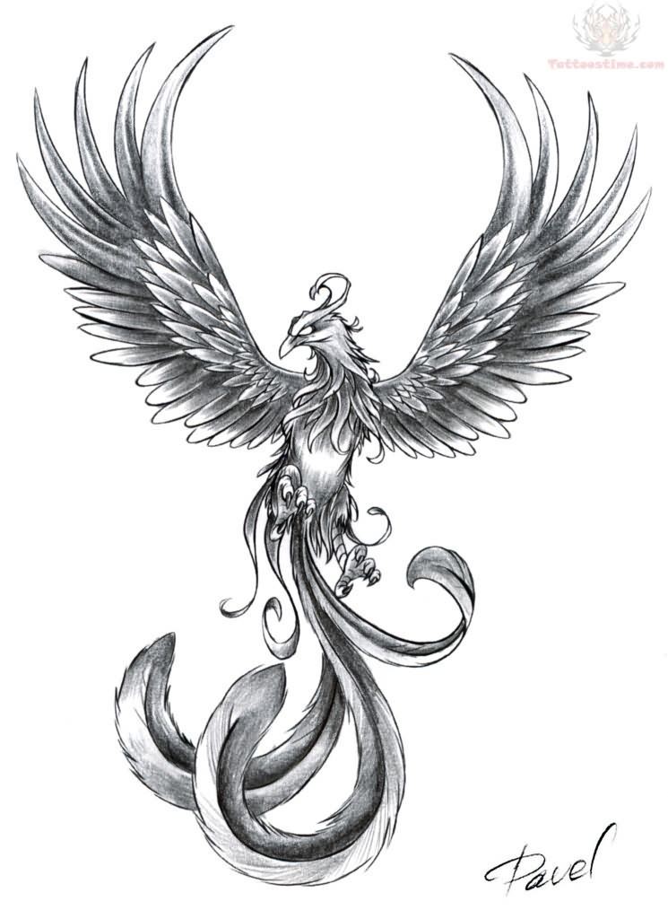 Phoenix Tattoo