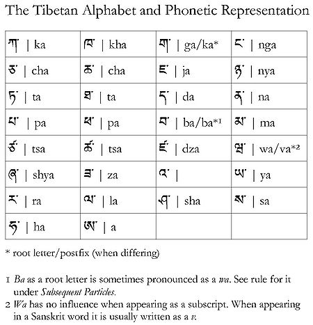 Phonetics