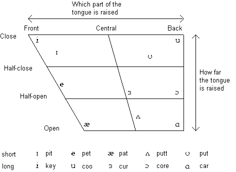 Phonetics Vowels English