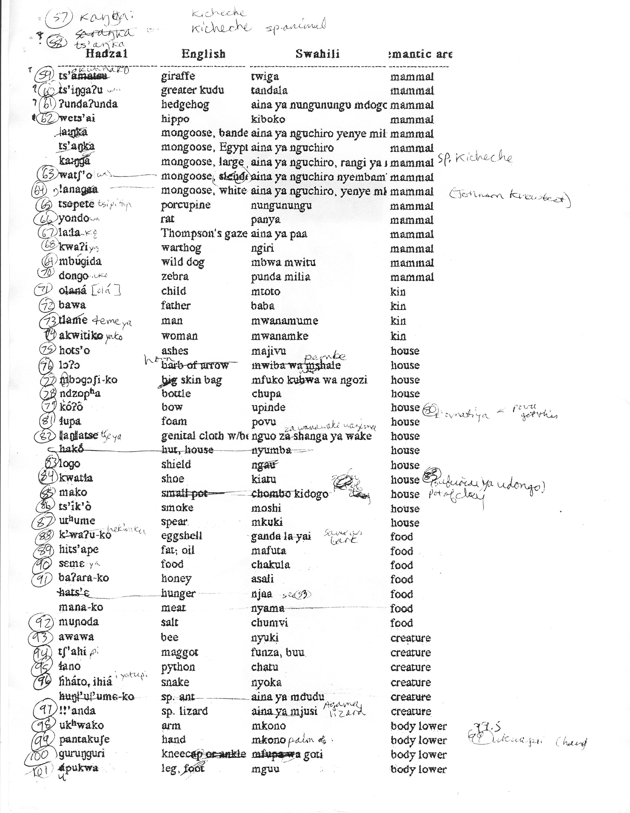 Phonetics Words List