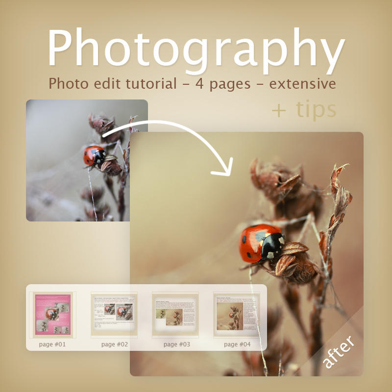 Photo Editing Tutorials For Photoshop Cs2