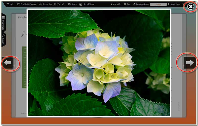 Photo Slideshow Software Free Download