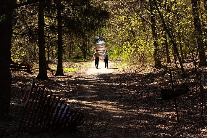 Photos Of Lovers In Park