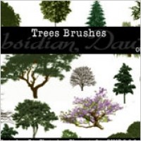 Photoshop Brushes Trees