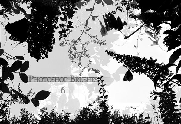 Photoshop Brushes Trees