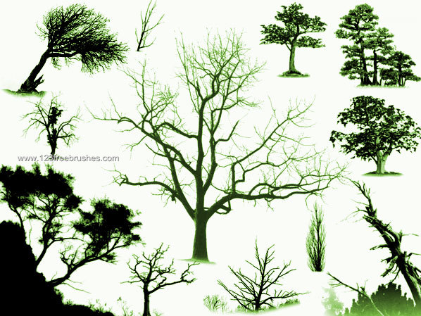 Photoshop Brushes Trees