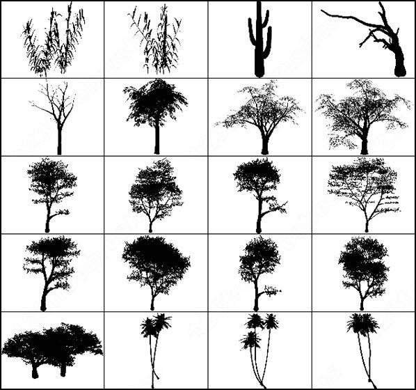 Photoshop Brushes Trees Plan View