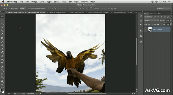 Photoshop Cs6 Download Free Full Version Mac