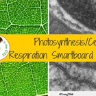 Photosynthesis And Cellular Respiration Graphic Organizer