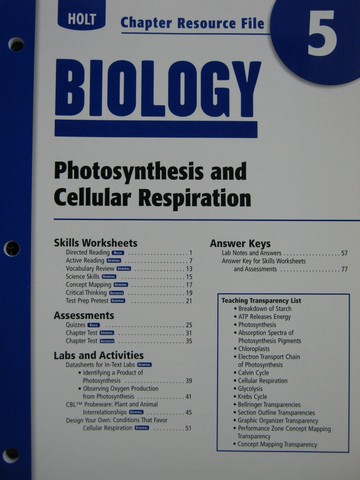 Photosynthesis And Cellular Respiration Worksheet Answer Key