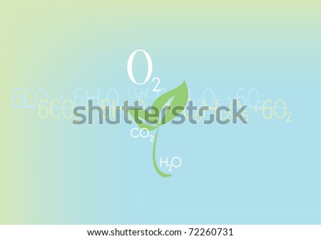 Photosynthesis Equation In Words And Symbols