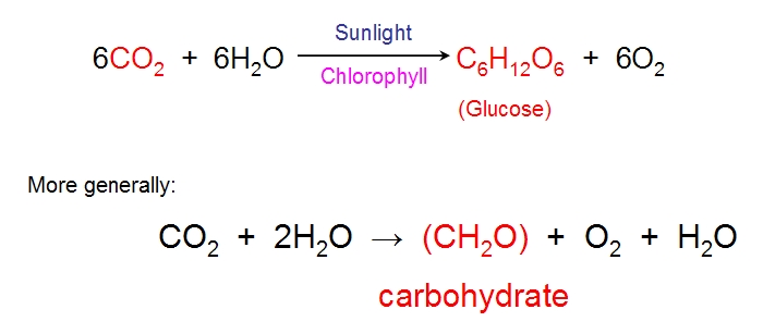 Photosynthesis Equation Symbol