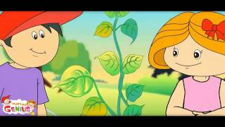 Photosynthesis For Kids Video