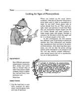 Photosynthesis For Kids Worksheets