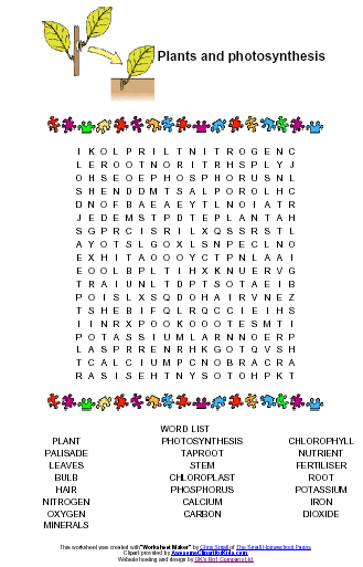 Photosynthesis Formula Quiz