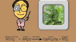 Photosynthesis Formula Song