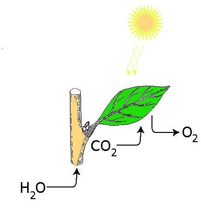 Physical And Chemical Properties Of Water