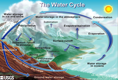 Physical And Chemical Properties Of Water Pdf