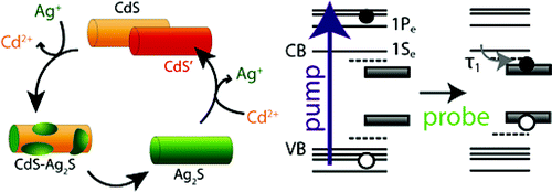 Physical Properties Of Metals Are Independent Of The Number Of Delocalized Electrons They Have