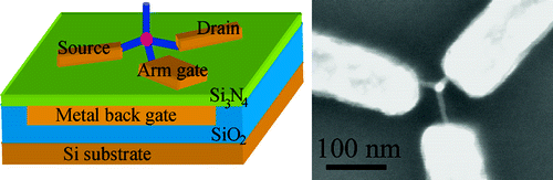 Physical Properties Of Metals Are Independent Of The Number Of Delocalized Electrons They Have