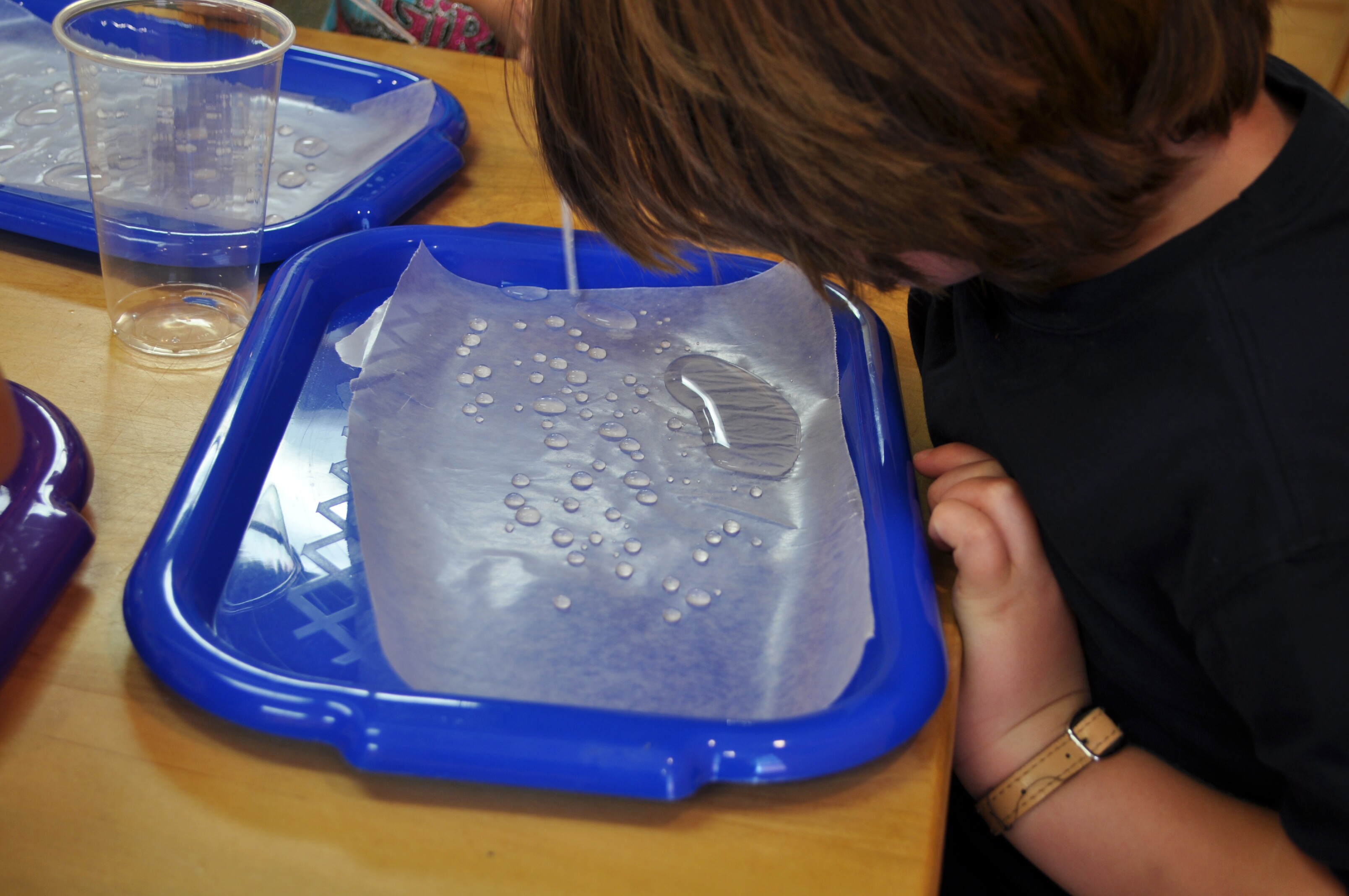 Physical Properties Of Water For Kids