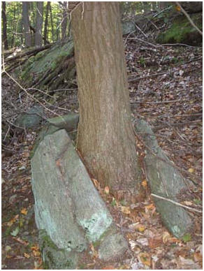 Physical Weathering Of Rocks