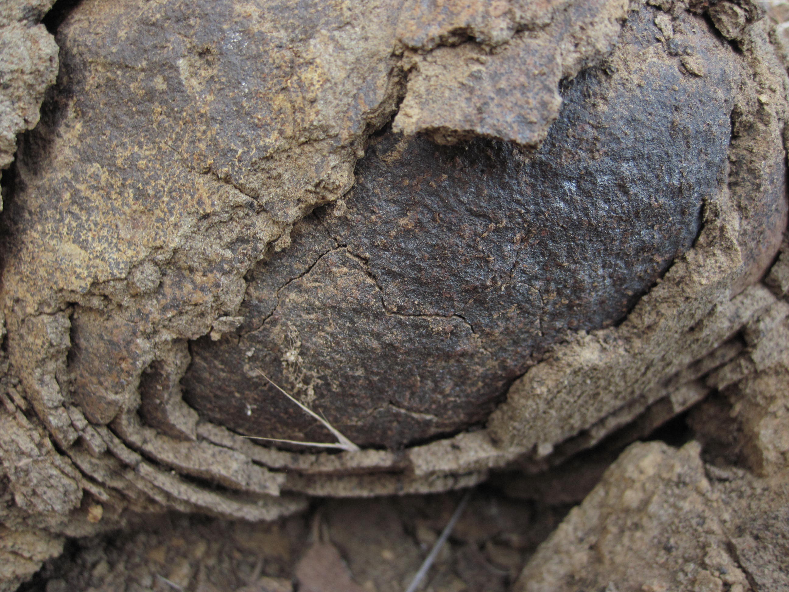 Physical Weathering Of Rocks