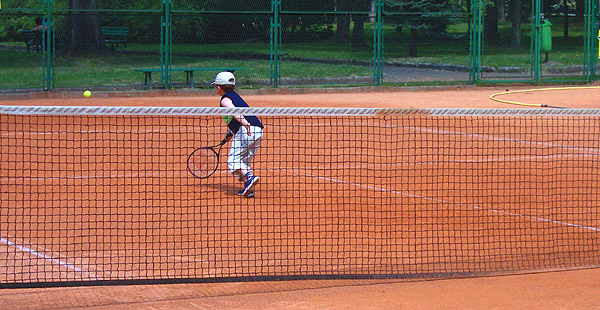 Picture Of Lawn Tennis Court