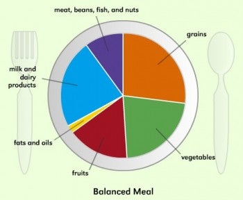 Pictures Of Healthy Eating Habits For Kids